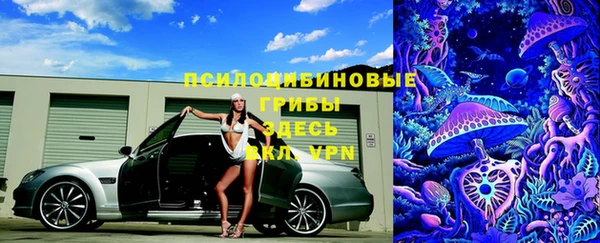 дурь Алзамай
