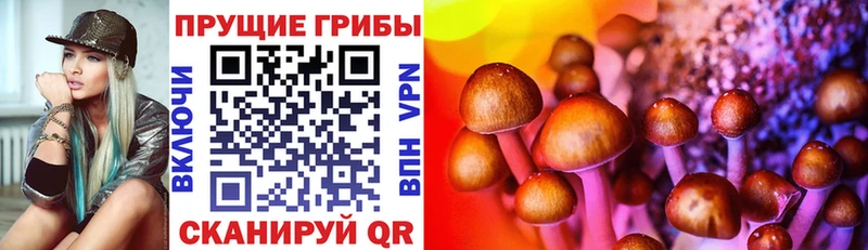 KRAKEN как зайти  Закаменск  Галлюциногенные грибы прущие грибы 
