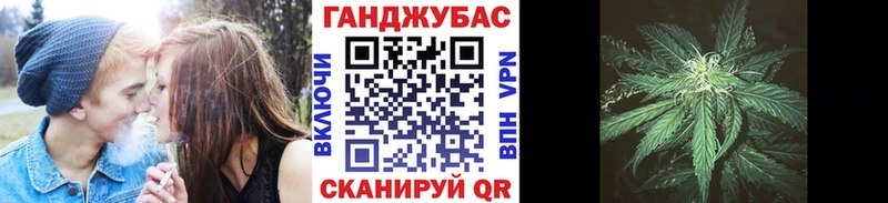 Конопля семена что такое Закаменск